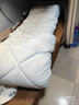 水星家纺被子冬季加厚被子被芯抗菌七孔纤维被褥220cm*240cm蓝 实拍图