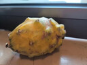 裕农叔【顺丰JD】燕窝果麒麟果孕妇水果黄色火龙果海南中秋节礼品送礼 2斤净重精品中果（单果100-150g） 晒单实拍图
