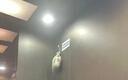 八海鸟艾草香薰5袋驱蚊中草药香囊车载香包儿童防蚊挂件厕所卫生间熏香 实拍图