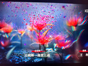 LG27英寸4K高清显示器办公设计 IPS屏 P3广色域 10bit HDR10 耳机插孔 家用电脑显示屏 27U711B 实拍图