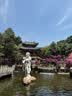 内野（UCHINO）云朵慕斯纯棉方巾柔软吸水小毛巾洗脸热敷面巾pro白色 实拍图