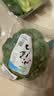 小汤山 西兰花 270g 基地直供新鲜蔬菜GAP认证 实拍图