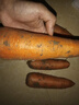 大号篦子超密细齿 加厚梳篦头皮屑清理按摩梳虱子梳塑料双面梳子 虱子梳【颜色随机】 2件 实拍图