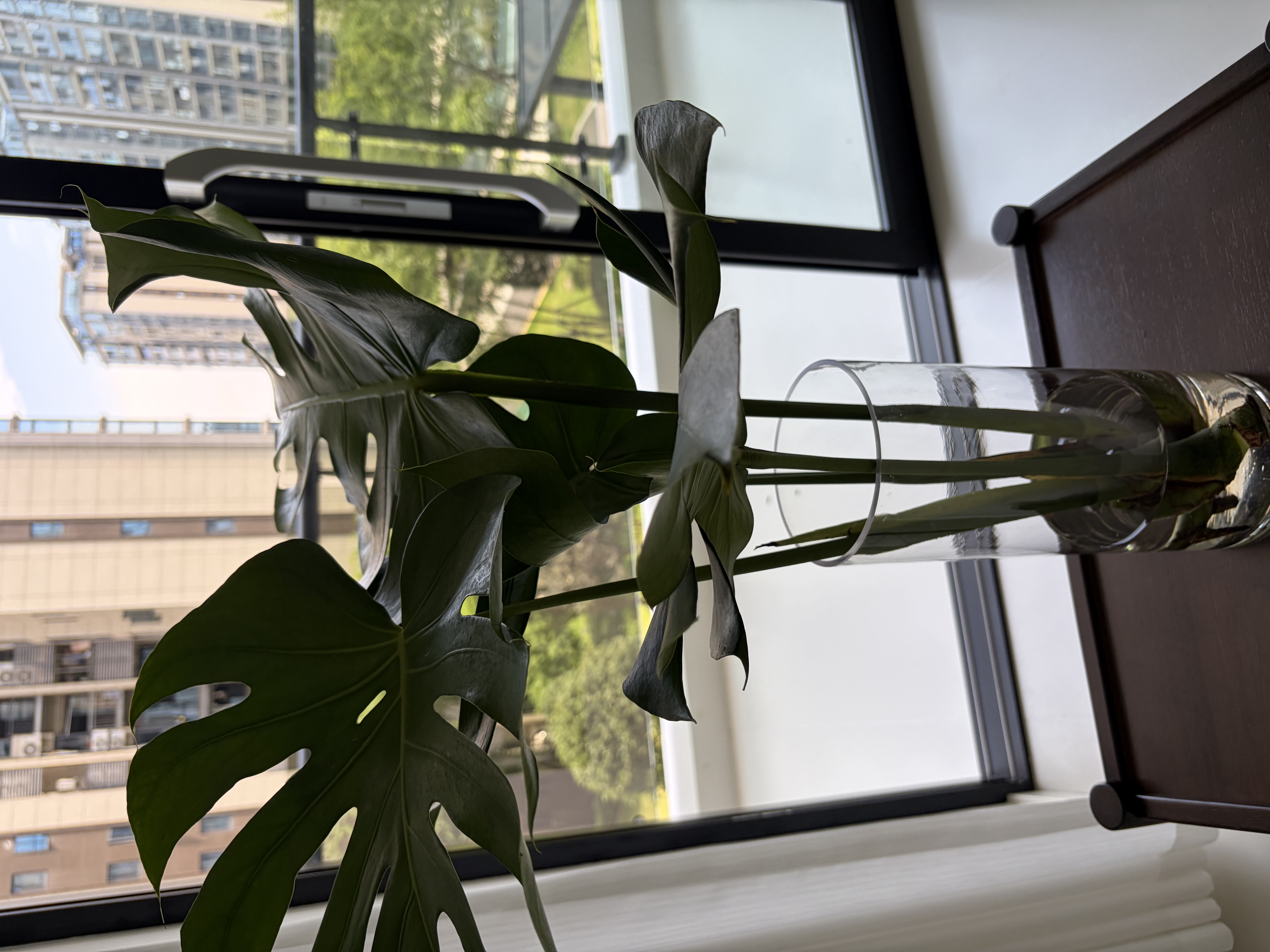盛世泰堡 花瓶插花水养玻璃花瓶水培富贵竹大花瓶客厅摆件直筒款1230 实拍图