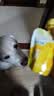 海洋之星宠物零食猫狗零食奶酪冻 成犬幼犬成猫幼猫零食60g 实拍图