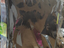 3M101Q砂纸9