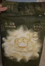 babycare金山茶花纸尿裤S58片(4-8kg)新生儿婴儿尿不湿超薄透气轻柔花苞裤 实拍图