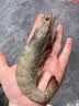 京东超市海外直采泰国活冻黑虎虾400g(41/50规格)16-20只/盒 实拍图