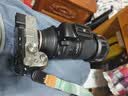 腾龙（Tamron）A057 150-500mm F/5-6.7 Di III VC VXD防抖 打鸟体育超长焦索尼全画幅微单镜头(索尼全幅E口) 实拍图