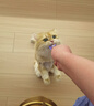 萌宠兄弟宠物次氯酸消毒液猫咪狗狗除臭剂家用室内杀菌水猫藓环境除菌喷雾 实拍图