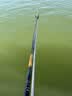 达亿瓦（DAIWA）一击 轻量鲤鱼鲫鱼草鱼罗非 进口鱼竿手杆 轻硬挺 休闲台钓 6.3m 一击F一代 63(综合) 不支持使用/试用后退换货 实拍图