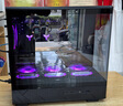 华硕（ASUS）PRIME GeForce RTX 5060 O8G 电竞游戏显卡 实拍图