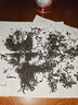 凤（feng）牌 红茶 古树滇红 中华老字号 凤庆 100g罐装 迷人甜香 工夫茶叶 实拍图