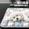 HELLOJOY宠物冰垫凉窝凉席垫子狗窝猫咪夏季睡觉降温神器狗狗夏天睡垫凉垫 实拍图