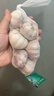 【百万单爆品】紫白皮蒜水果大蒜超市生鲜蔬菜调料即食蒜 大蒜6头150g单果3.5-5cm 实拍图