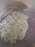 十月稻田 油粘米 银牙香粘米 10斤（南方大米 籼米 5kg/公斤） 实拍图