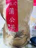 岷农人野生蒲公英500g甘肃整株全根蒲公草婆婆丁中药材茶泡 实拍图