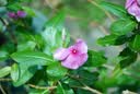 索尼（SONY）ILCE-7M3 a7m3 A73全画幅微单数码相机5轴防抖 A7M3K套机【赠相机包+品牌座充+清洁套装等】 官方标配 实拍图