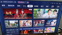 TCL电视【价保618】 65V8L Pro 65英寸 高刷 QLED量子点 3GB+64GB大内存 4K 电视 实拍图