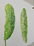 Touch mark泰驰软头马克笔120色美术生专用双头大墨量水彩笔小学生初中生动漫手绘设计画笔儿童生日礼物送礼 实拍图