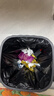 Mistine蜜丝婷防晒霜40ml防晒喷雾100ml防晒户外高倍防水汗礼物学生 实拍图
