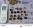 桂圆干16A特级大果2025年新货核小肉厚福建龙眼干特产年货 16A大果【壳薄肉厚】 2500克（五斤超值装） 实拍图