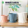 九千谷花盆欧式简约创意加厚塑料三色混装中号3个装办公桌面带托盘4276 实拍图
