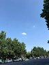 魔铁（MOTIE）吊床户外挂树露营双人帆布弯木防侧翻室内秋千成人儿童加宽加厚 实拍图