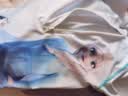 迪士尼儿童泳衣女童连体专业训练幼儿小女孩3-6岁游泳装D35383蓝色100 实拍图