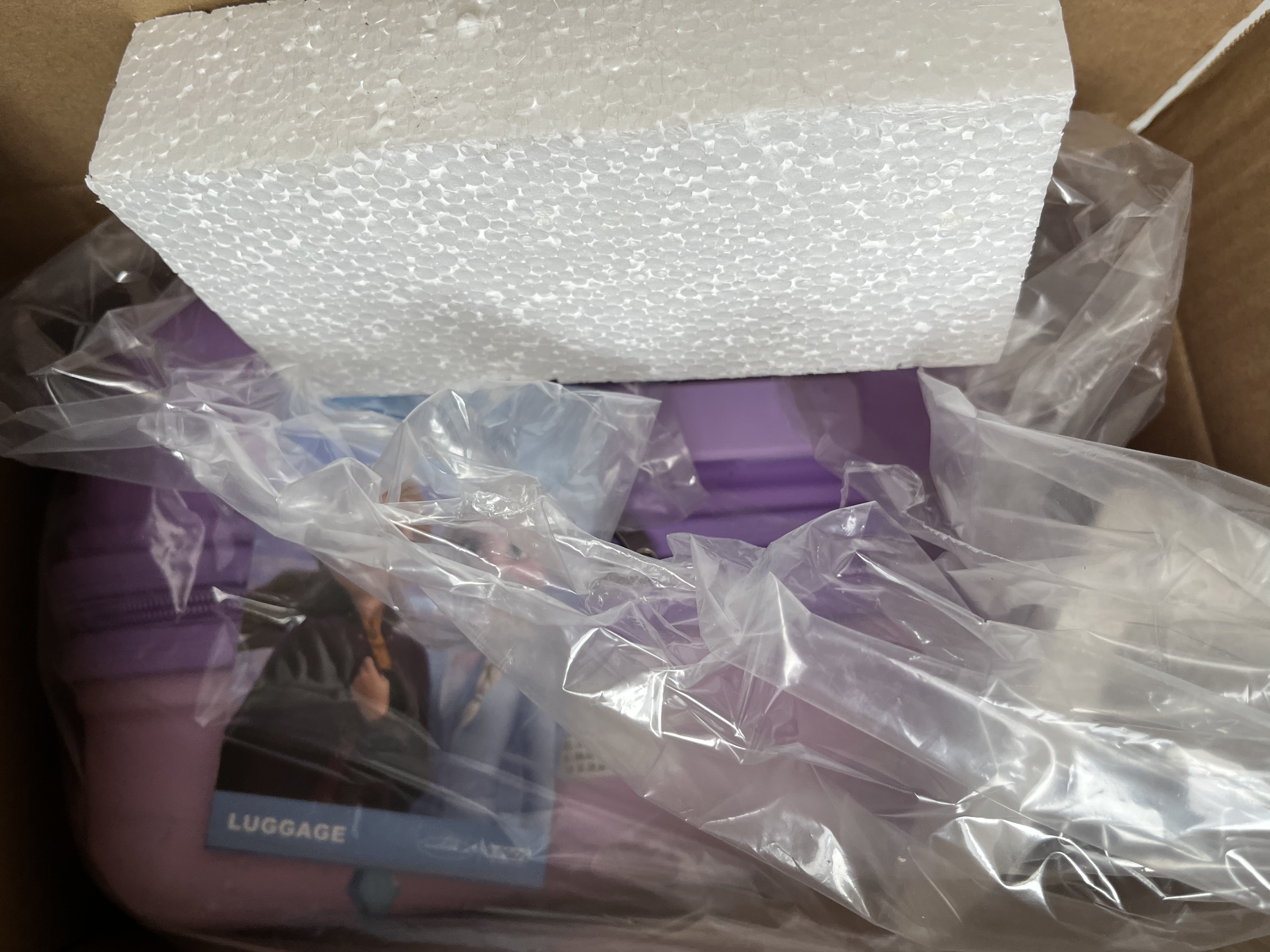 麦斯卡迪士尼联名行李箱儿童拉杆箱皮箱学生万向轮可登机箱粉色20英寸 实拍图