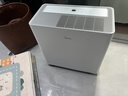 美的（Midea）54升小方物除湿机100㎡家用梅雨天抽湿机干衣机 地下室泵压上排水除湿器CF54BS/DA (支持鸿蒙智联) 实拍图