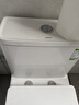 九牧（JOMOO）11173-2-1/31KD-3大力神家用马桶虹吸抗菌节水洁具305坑距 实拍图