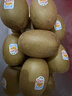 佳沛（zespri）新西兰金果巨大果22粒原箱单果146-175g 端午礼物水果礼盒 猕猴桃 实拍图