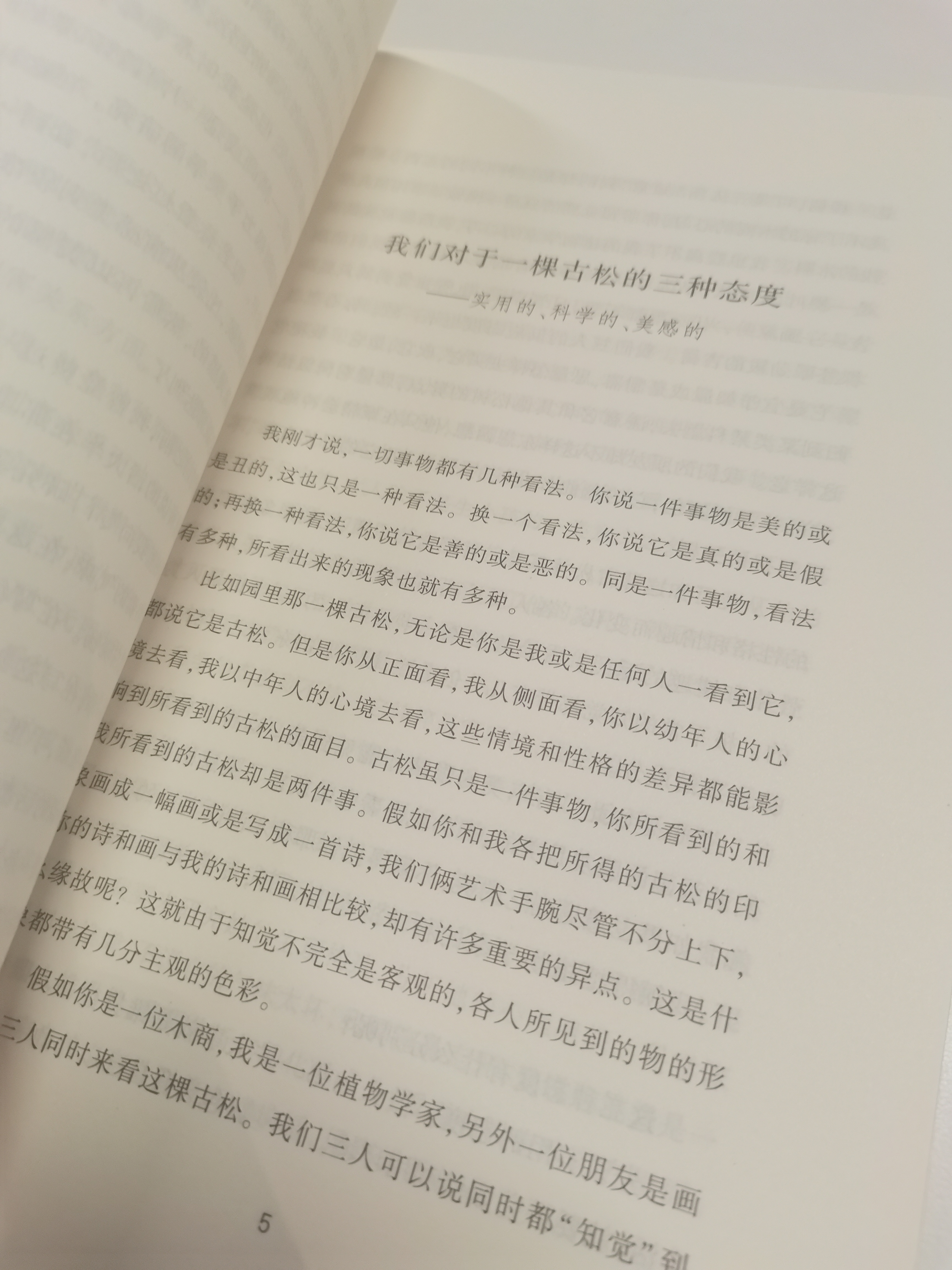 谈美 实拍图