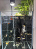 松宝（sobo）鱼缸氧气泵增氧泵水族箱增氧机养鱼打氧机 小型家用充氧泵 双孔4W 实拍图