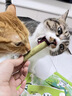 MamyPets猫草冻干猫咪零食猫草棒磨牙棒排毛化毛球猫薄荷饼干猫草片 实拍图