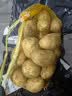 恩施小土豆新鲜马铃薯农家黄心洋芋现挖蔬菜马铃薯 5斤 大果 鹅蛋大小左右 实拍图
