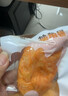 暴肌独角兽鸡胸肉即食低脂高蛋白健身减代餐速食轻食品混合口味1kg 实拍图