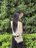 15MINS包包女包彩虹手提斜挎菜篮子包轻奢品牌生日礼物高级感送女友老婆 实拍图