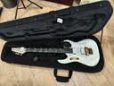 IBANEZ依班娜电吉他琴盒电贝斯盒F30EG M300C硬盒 电吉他箱 电贝司琴盒 F30EG 电吉他 帆布琴盒 实拍图