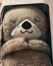 费雪（Fisher-Price）婴儿玩具安抚玩偶哄睡六一儿童节礼物-音乐安抚酣睡小水獭GHL41 实拍图