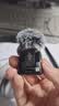 大疆 DJI Mic Mini 发射器（碳素黑）迷你无线降噪纽扣式领夹麦克风采访直播vlog收音麦 实拍图