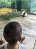 丸丫T2-2旅行家遛娃神器轻便婴儿推车可折叠登飞机火车儿童口袋推车 【T2-2旅行家】老花香槟金 实拍图
