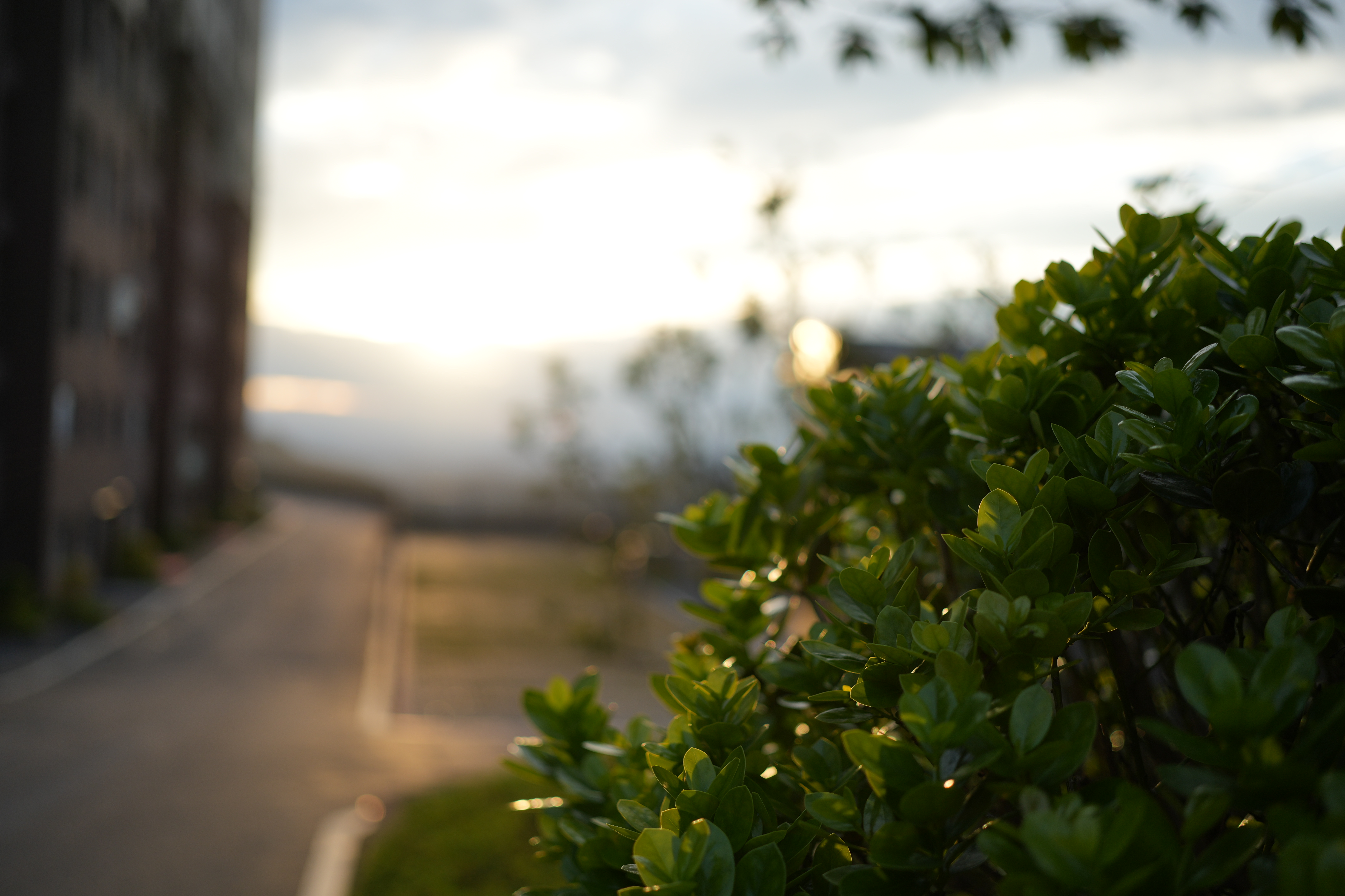 索尼（SONY）FE 40mm F2.5 G 全画幅定焦G镜头 (SEL40F25G) FE 40F2.5G 官方标配 实拍图