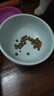 乐优派猫碗陶瓷狗碗猫食盆狗盆宠物碗猫粮碗高脚防打翻猫咪用品 渐变蓝 实拍图