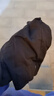 特步（XTEP）防晒面罩男士挂耳骑行夏季冰丝口罩围脖套头巾男女骑手防风尘登山 实拍图
