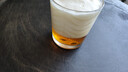 斯坦根（stangen）全麦啤酒 四重啤酒花酿造干投IPA精酿艾尔工艺 500ml*12罐整箱装 实拍图
