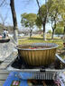 酒鬼五香麻辣脱油花生米散装600g休闲零食露营聚会每日坚果下酒菜 实拍图