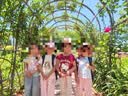 Hello Kitty童装女童纯棉短袖T恤2026夏季新款透气百搭儿童上衣可爱女孩夏装 实拍图