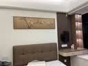良木主卧老人卧室床头挂画新中式茶室装饰画客厅沙发背景墙壁画高级感 E-玉兰图-棕木框+布艺 50*180CM 实拍图